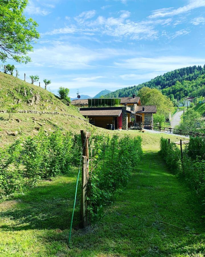 Agriturismo Il Talento Nella Quiete Castiglione dʼIntelvi Kültér fotó