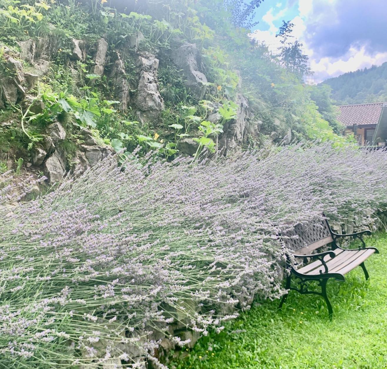 Agriturismo Il Talento Nella Quiete Castiglione dʼIntelvi Kültér fotó