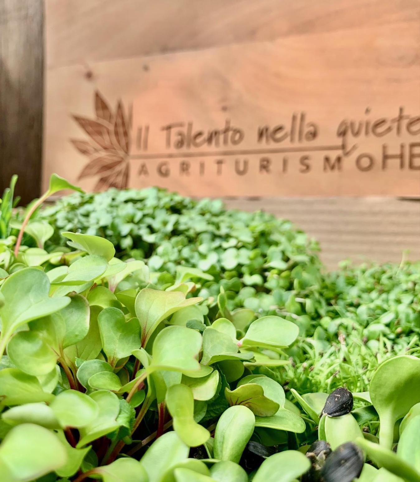 Agriturismo Il Talento Nella Quiete Castiglione dʼIntelvi Kültér fotó