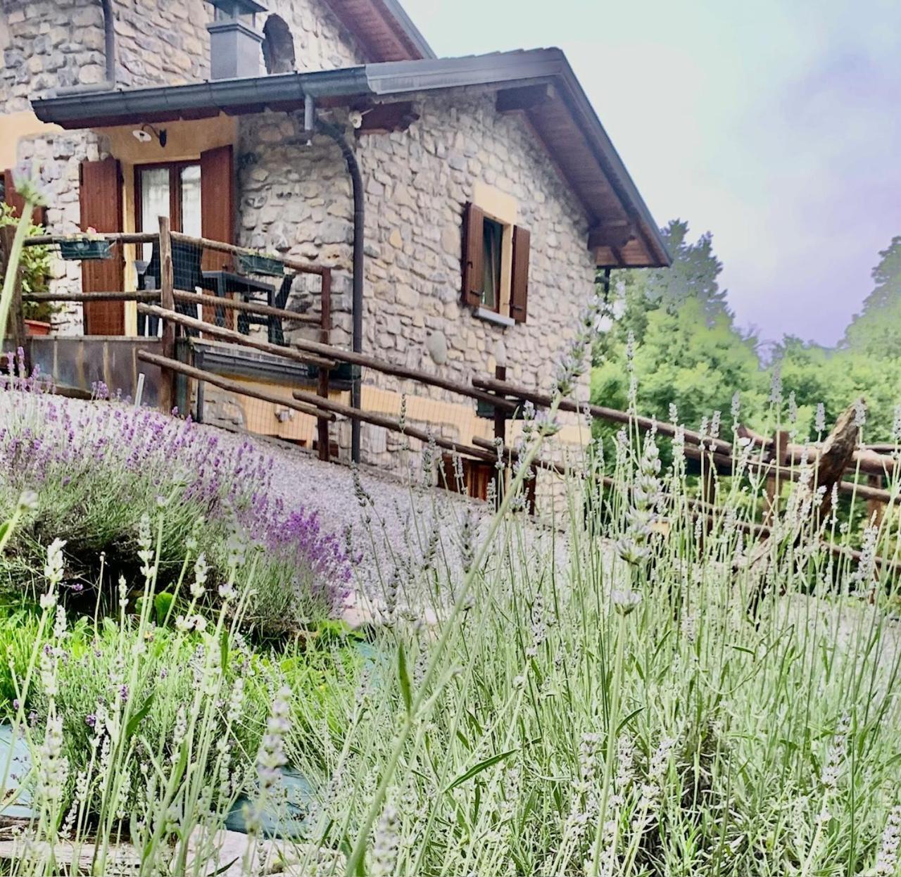 Agriturismo Il Talento Nella Quiete Castiglione dʼIntelvi Kültér fotó